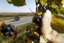 Balade moto en Champagne-Ardenne : la montagne de Reims (...)