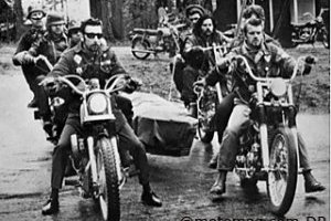DVD Les Anges Sauvages 1966 : Hell's Angels