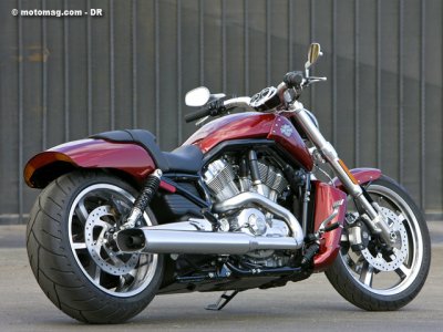 News 2009 : Harley 1250 V Rod Muscle
