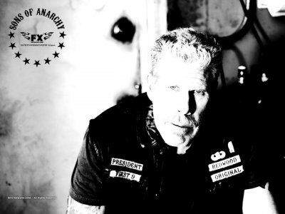 DVD Sons of Anarchy : Ron Perlman