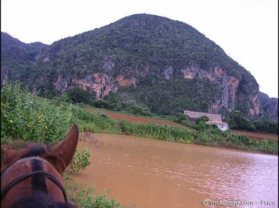 Voyage à Cuba : optez pour le cheval !
