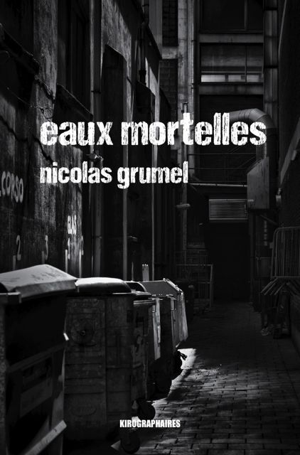 Roman : dédicace de "Eaux Mortelles" à Libramoto (...)