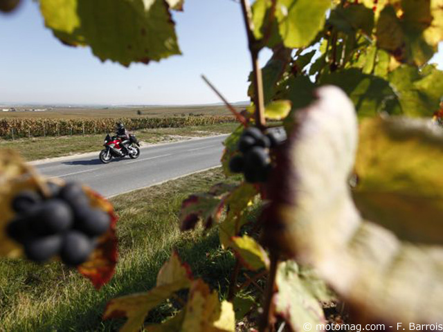 Champagne à Vélo De La Montagne De Reims à Erpernay Abicylette