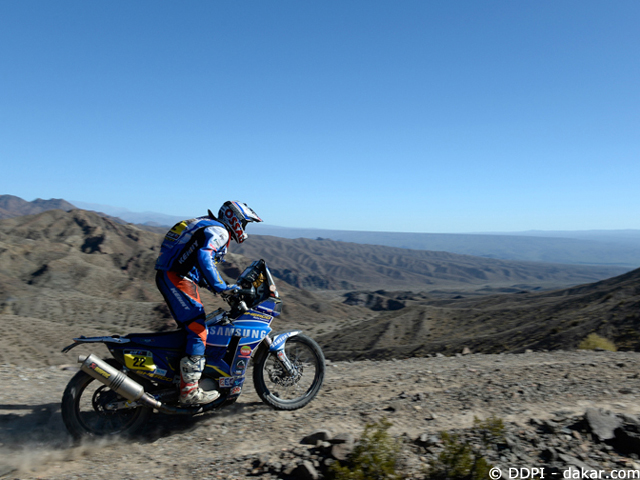 Dakar 2014 : Cyril Despres dégringole