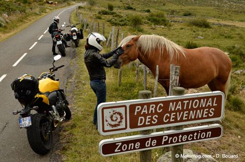 La FFMC 48 a contribué à l'offre touristique du (...)