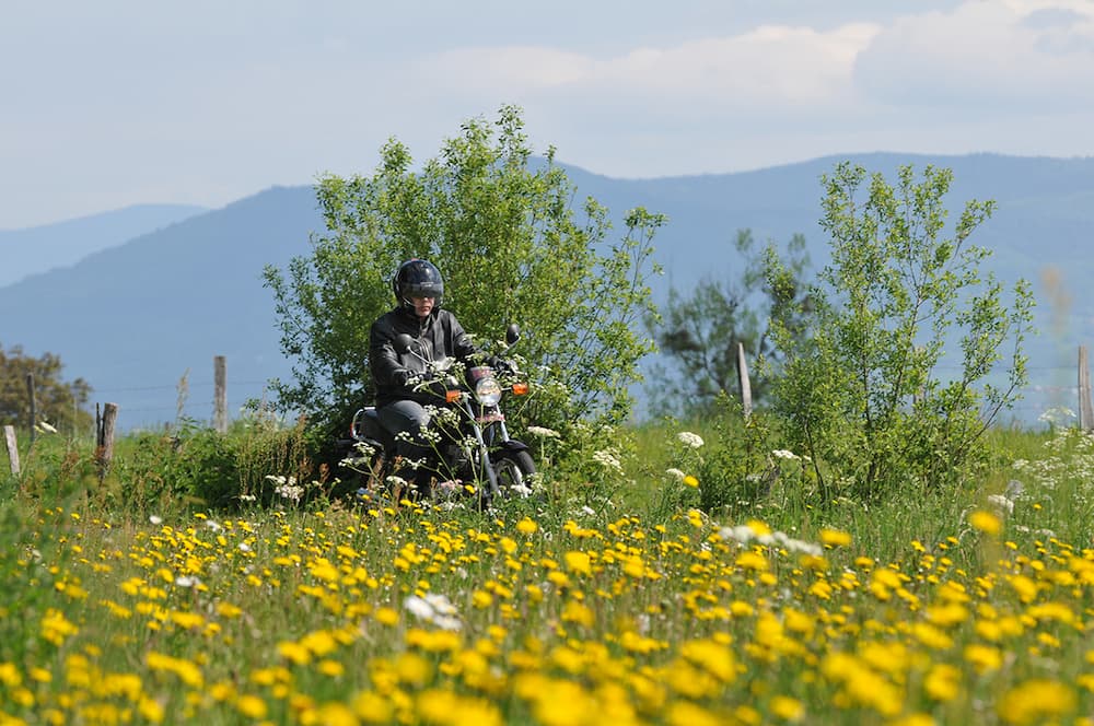 Les motos de plus en plus vertes