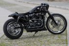 Battle of the kings Harley-Davidson : un Sportster Iron (...)