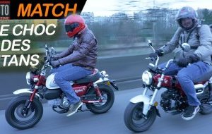 [VIDEO] Comparatif Honda Dax ST125 VS Honda Monkey 125 (...)