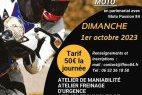 Stage de perfectionnement à la conduite