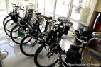 Seine-et-Marne : passion Solex et vieilles mécaniques