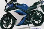 Nouveauté 2010 : Une GSX-R 125 chez Suzuki ?