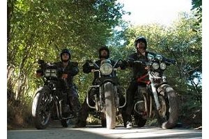 DVD fiction Freebird : déjantés ces british's