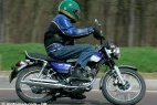 Sym 125 Wolf Classic (2004-2007) : rare et pas (...)
