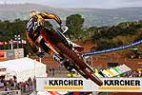 Desert Martin : Formidable Coppins