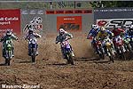 Everts « dominator »