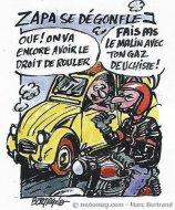 Pollution : la ministre de l'Écologie enterre les (...)