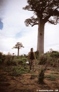 Madagascar : Baobabs