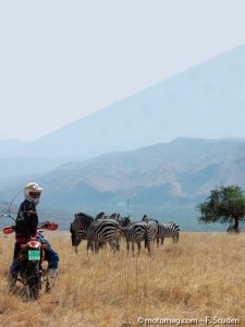 À la Découverte de l’Éthiopie : face aux zèbres