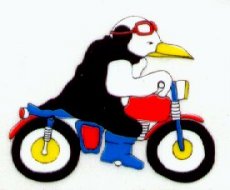 Hivernale : des Pingouins tout fringants Hivernale : des Pingouins tout fringants