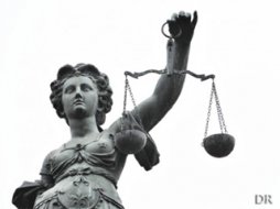 Plaques, avertisseurs, gilets… : le point juridique sur (...)