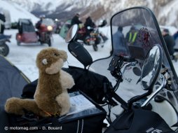 Hivernale des Marmottes 2013 : la tête change, pas (...)