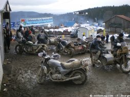 Concentration hivernale moto : des éléphants européens (...)