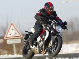 MV Agusta 800 Brutale : en progrès !