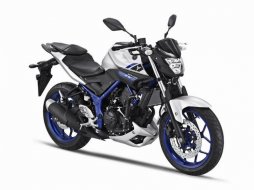 Bientôt une Yamaha MT-300, roadster de moyenne cylindrée (...)