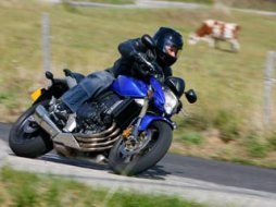 Honda CB 600 Hornet