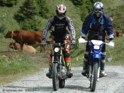 Yamaha 250 Tricker contre Yamaha 250 TTR (2005)