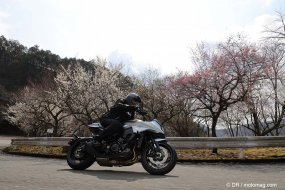 Essai Suzuki Katana : fine lame (+vidéo)