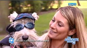 Insolite : un chien plus motard que son maître