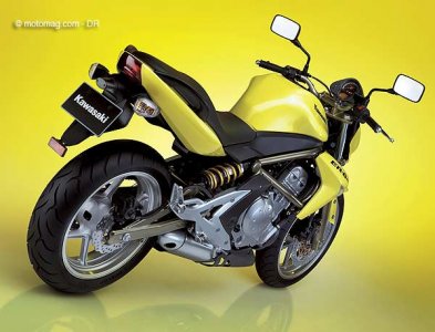 Kawa 650 ER-6n : amortisseur