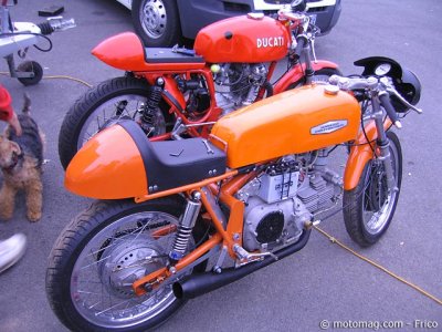 Caiman moto classique : belles italiennes