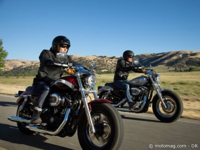 Nouveauté Harley 2013 : Sporster Nascar