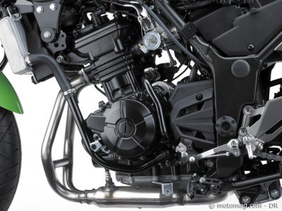 Essai Kawasaki 300 Ninja : quelle santé !