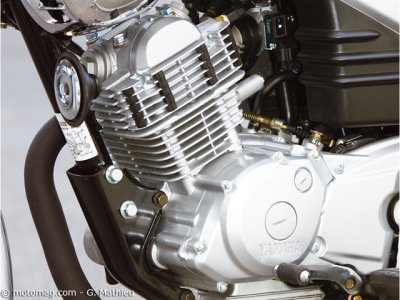 Yamaha YBR 125 Custom : fiable et économique