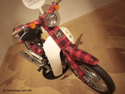 Honda 50 Cub : version écossaise