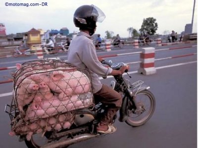 Honda 50 Cub : tout transport
