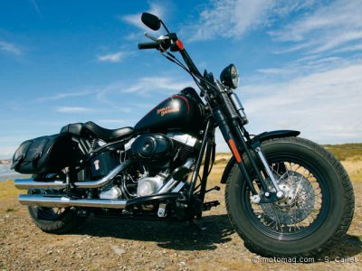 Harley Davidson 1584 : des finitions limites