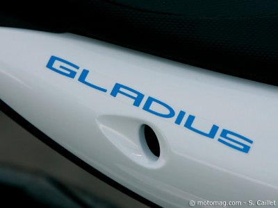 Suzuki SFV 650 Gladius : carte d’identité