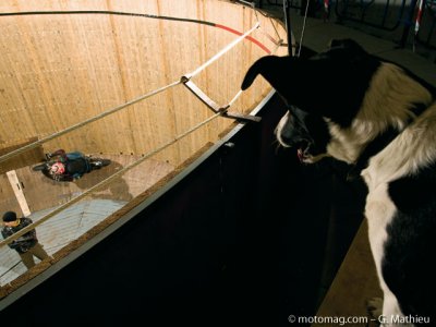 Le mur de la mort : c’est parti pour un tour de piste !