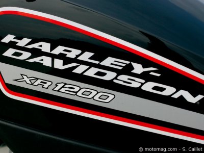 Harley-Davidson XR 1200 : carte d’identité