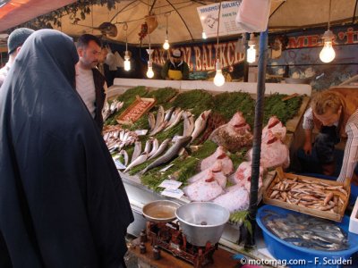 La Turquie, aux portes de l’Orient : poissons pléthoriques