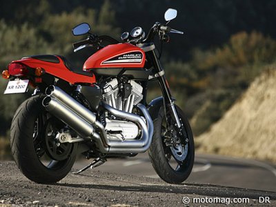 Harley-Davidson XR 1200 : 2008 :