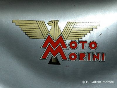 Bulletin de santé de Morini : oiseau de bon augure