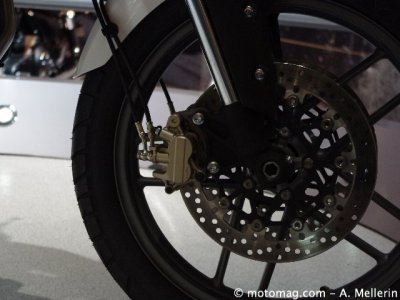 Milan 2010, Triumph Tiger 800 : 19 pouces