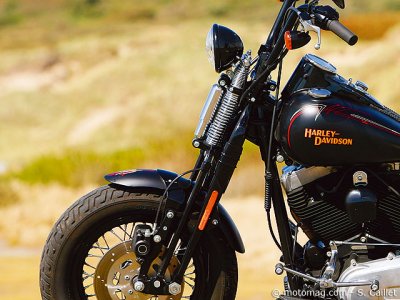 Harley Davidson 1584 Cross Bones : fourche 