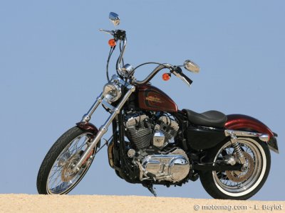 Essai Harley XL 1200 « 72 » : paillettes ou pas