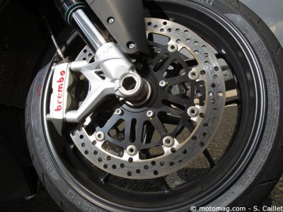MV Agusta F3 800 EAS : mordant